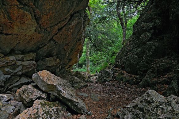 Фотографии природы тисовое ущелье чатыр-даг