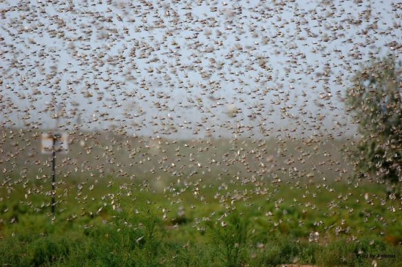 Нашествие 2