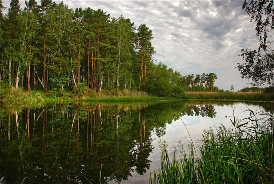 Заводь реки фото