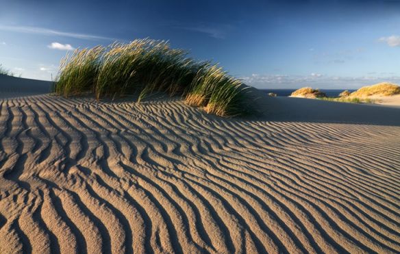 Фотографии природы геометрия песка