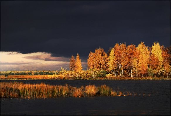 Осень в разгаре