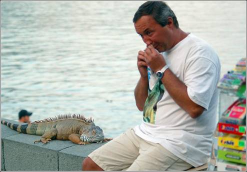 Фото прикол - пожевать