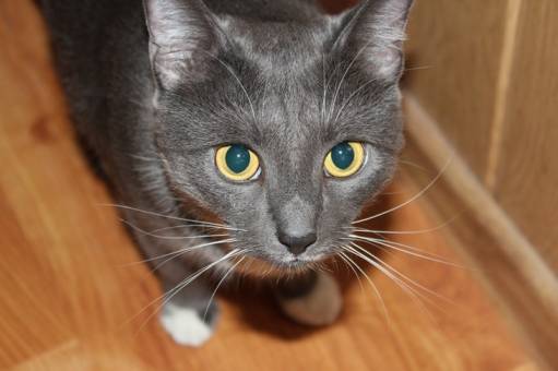 Пейзажи и природа