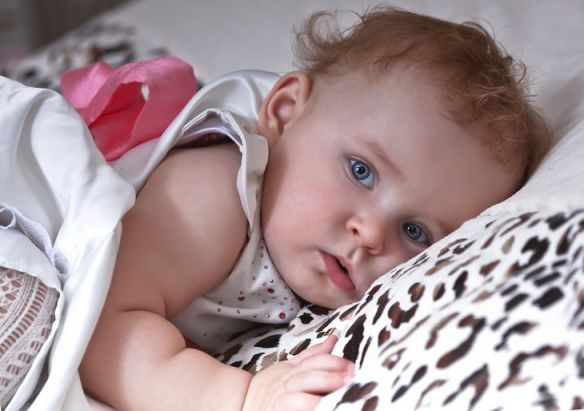 Частное - пейзажи и природа