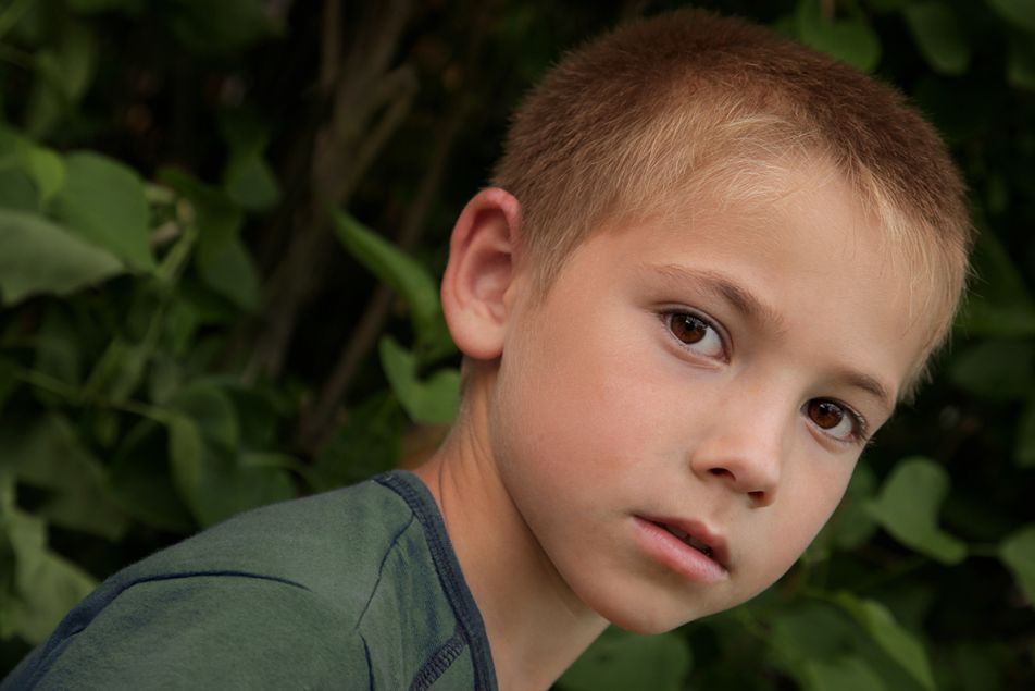 Волшебник изумрудного леса - дети