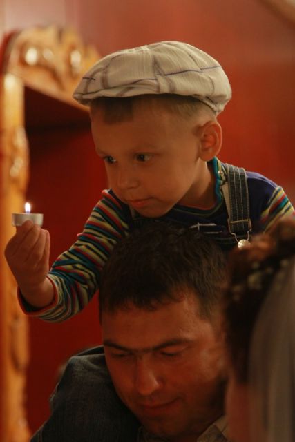 Пейзажи и природа