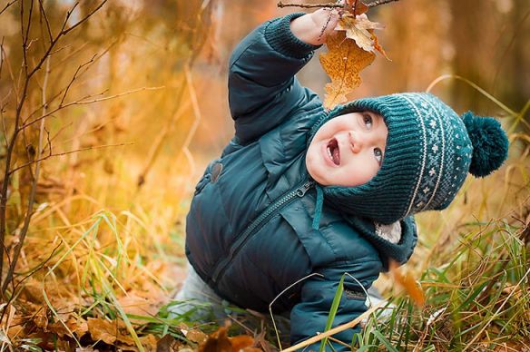 В весёлом лесу - детвора