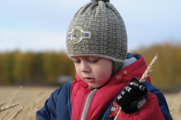 Сбор уражая