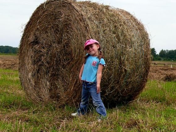 Частное - model