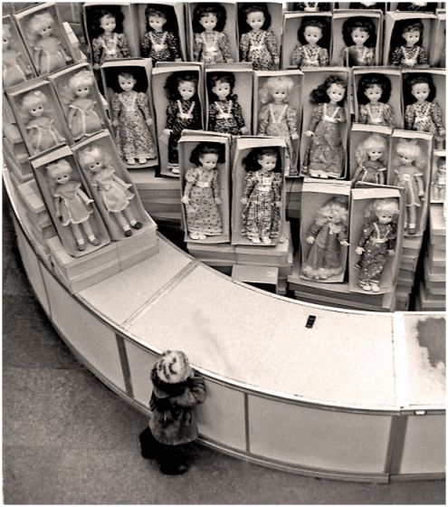 Фотография козетта