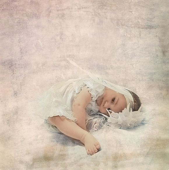 Частное - пейзажи и природа