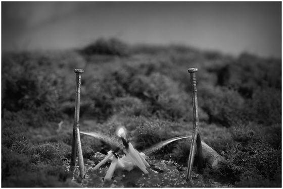 Туристы- уходя гасите костры