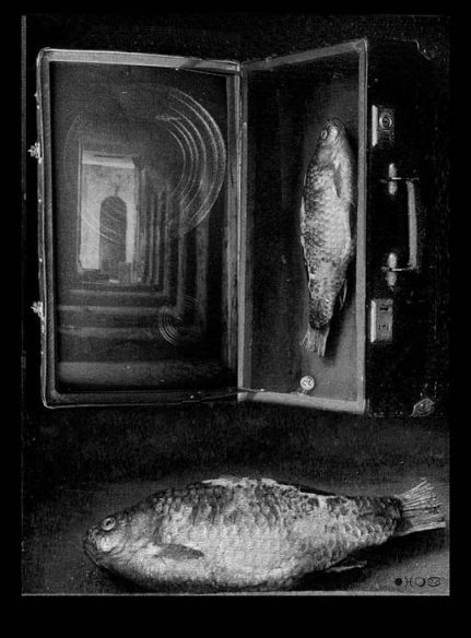 Путешествие в лиму