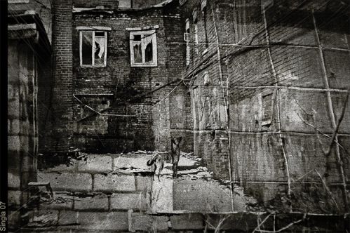 Фото креативные nostalghia