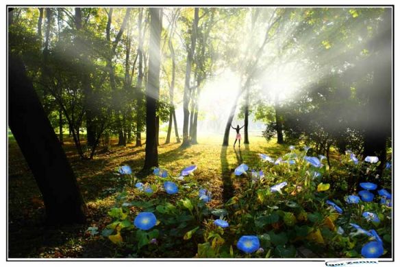 Необычное 23 okryabrya