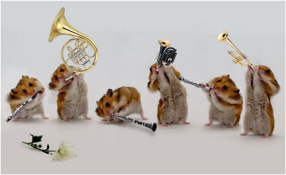 Цифровая обработка всех девчаток хомко-бенд поздравляет с праздником!