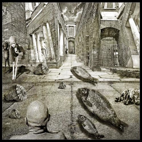 Необычное шествие рыб