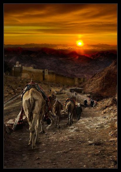 Воспоминания о поездке на синай - синайский полуостров