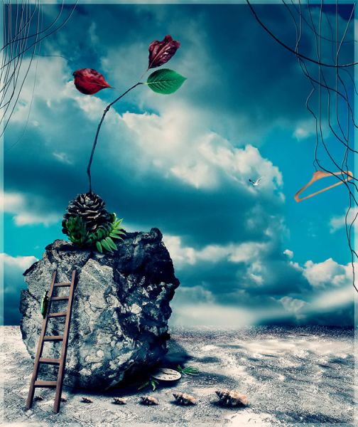 Фото о том что улитки размножаются делением, камнишишкованием